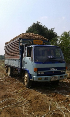 ขายรถ6ล้อ ร็อกกี้165แรง เครื่องดี แคชซีสวยFSR ยาว5.20เมตร รถสวยพร้อมใช้งาน เอกสารพร้อมโอน สนใจโทร 090-8588220คุณนะ 093-3258446คุณบิว หรือเข้าดูสินค้าอื่นๆได้ที่ www.truck.in.th/498 หรือเพจFacebook ณรงค์ ซื้อขายรถมือสอง (เว็บไซต์ส่วนตัว) หรือFacebook คุณนะ