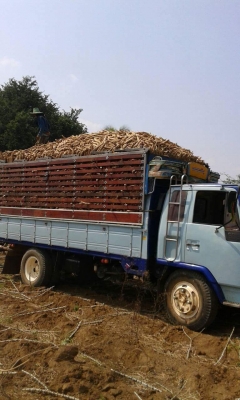 ขายรถ6ล้อ ร็อกกี้165แรง เครื่องดี แคชซีสวยFSR ยาว5.20เมตร รถสวยพร้อมใช้งาน เอกสารพร้อมโอน สนใจโทร 090-8588220คุณนะ 093-3258446คุณบิว หรือเข้าดูสินค้าอื่นๆได้ที่ www.truck.in.th/498 หรือเพจFacebook ณรงค์ ซื้อขายรถมือสอง (เว็บไซต์ส่วนตัว) หรือFacebook คุณนะ