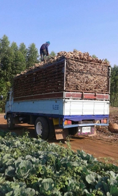 ขายรถ6ล้อ ร็อกกี้165แรง เครื่องดี แคชซีสวยFSR ยาว5.20เมตร รถสวยพร้อมใช้งาน เอกสารพร้อมโอน สนใจโทร 090-8588220คุณนะ 093-3258446คุณบิว หรือเข้าดูสินค้าอื่นๆได้ที่ www.truck.in.th/498 หรือเพจFacebook ณรงค์ ซื้อขายรถมือสอง (เว็บไซต์ส่วนตัว) หรือFacebook คุณนะ