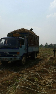 ขายรถ6ล้อ ร็อกกี้165แรง เครื่องดี แคชซีสวยFSR ยาว5.20เมตร รถสวยพร้อมใช้งาน เอกสารพร้อมโอน สนใจโทร 090-8588220คุณนะ 093-3258446คุณบิว หรือเข้าดูสินค้าอื่นๆได้ที่ www.truck.in.th/498 หรือเพจFacebook ณรงค์ ซื้อขายรถมือสอง (เว็บไซต์ส่วนตัว) หรือFacebook คุณนะ