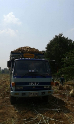 ขายรถ6ล้อ ร็อกกี้165แรง เครื่องดี แคชซีสวยFSR ยาว5.20เมตร รถสวยพร้อมใช้งาน เอกสารพร้อมโอน สนใจโทร 090-8588220คุณนะ 093-3258446คุณบิว หรือเข้าดูสินค้าอื่นๆได้ที่ www.truck.in.th/498 หรือเพจFacebook ณรงค์ ซื้อขายรถมือสอง (เว็บไซต์ส่วนตัว) หรือFacebook คุณนะ