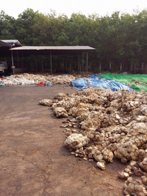 แหล่งรวมรถโฟลค์ลิฟท์งาเทฮิ้งค์ฟอร์คภาคตะวันออกงากระดกสำหรับตักก้อนยางพารายางถ้วยยางก้อนและขี้ยาง