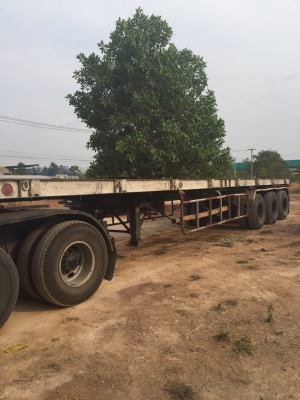 ขายหางพื้นเรียบ. 3เพลา 12.5 ม. ต่ออู่พนัส. ยางดีทุกเส้น. พร้อมใช้