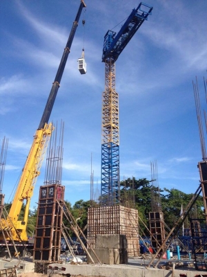 ขายทาวเวอร์เครน (ยี่ห่อ Linden)