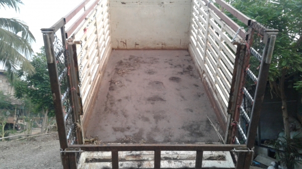 ขายดาว 98000