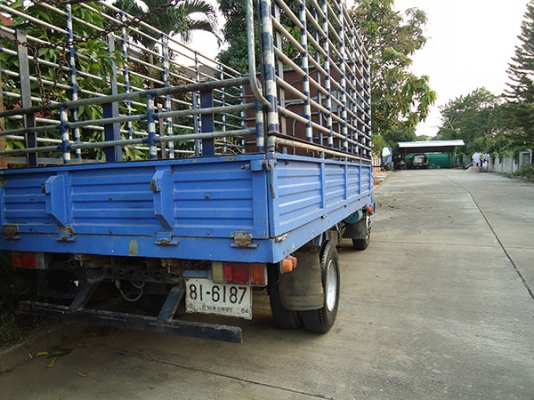 ขาย NPR 130 TURBO สวยๆ ขาย NPR 130 TURBO สวยๆ