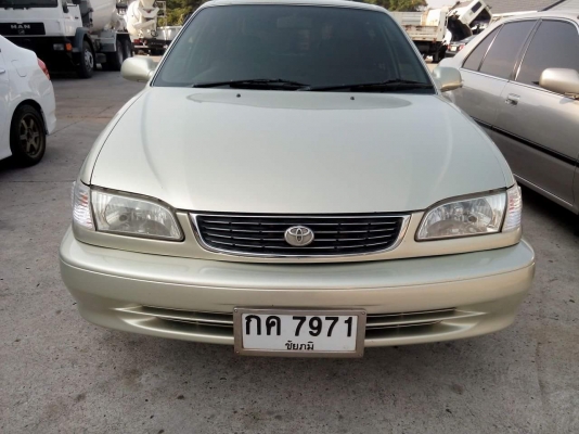 โคโลล่าตัวท้อบ