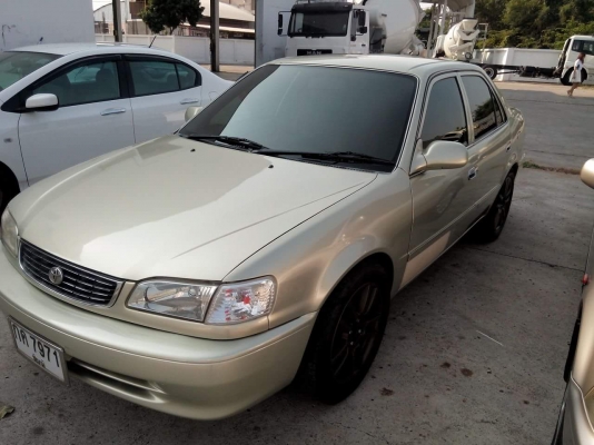 โคโลล่าตัวท้อบ