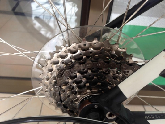 เสือหมอบ Felt Size 51' ตะเกียบคารบอน