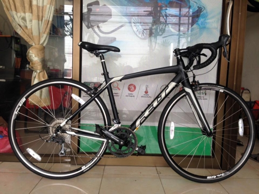 เสือหมอบ Felt Size 51' ตะเกียบคารบอน