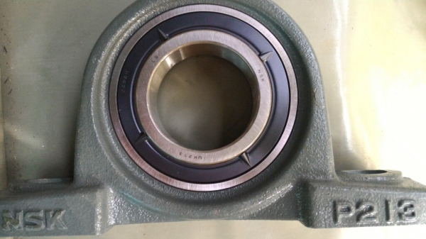 ตลับลูกปืนตุ๊กตา