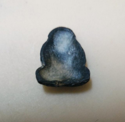 พระสังกัจจายนะ เนื้อชินเก่า เก็บหิ้งสวยๆ