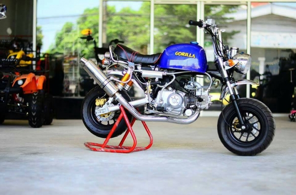 #จัดโปโมชั่นใหม่ลดราคาสุดๆ.รถต้นแบบ MSX มังกี้ กอลิล่า แต่ง มี100 แบบให้เลือก ราคาเริ่มต้น.......