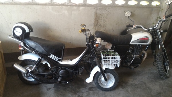 Yamaha Chappy ถูกๆ รถเดิมๆ พร้อมใช้ครับ Yamaha Chappy ถูกๆ รถเดิมๆ พร้อมใช้ครับ