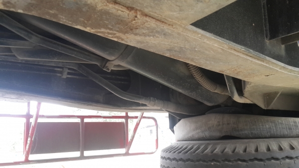 หางเทนเลอร์ดั๊ม   อู่ซุ่นชัย