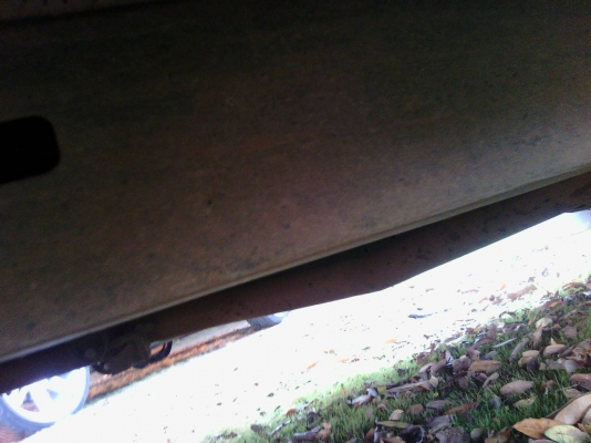 ขายไทเกอร์d4d ขายไทเกอร์d4d