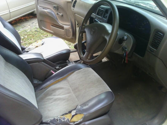 ขายไทเกอร์d4d ขายไทเกอร์d4d