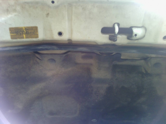 ขายไทเกอร์d4d ขายไทเกอร์d4d