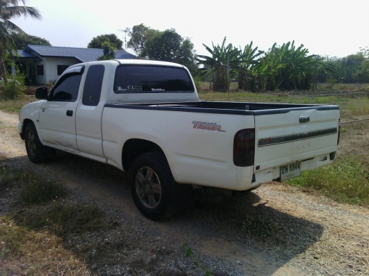 ขายไทเกอร์d4d ขายไทเกอร์d4d