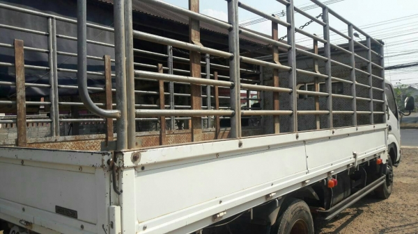 หกล้อ ฮีโน่ ดูโท่ XZU 421ปี53ช่วงยาว5ม สภาพดีสวยบางเดิมพร้อมใช้ ทะเบียนพร้อมโอน หกล้อ ฮีโน่ ดูโท่ XZU 421ปี53ช่วงยาว5ม สภาพดีสวยบางเดิมพร้อมใช้ ทะเบียนพร้อมโอน