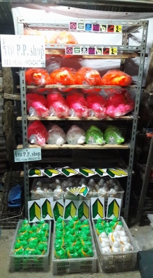 ตุ๊กตามิชลิน17นิ้ว  มีตำหนิราคาถูกตัวละ350+ส่งฟรี มีสีส้มกับสีชมพูครับ