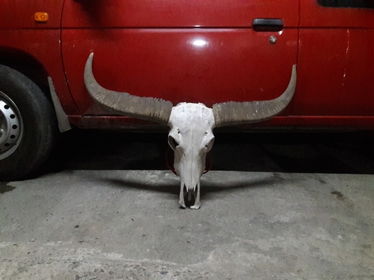 ขายแล้ว