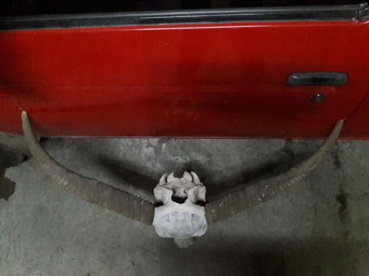 ขายแล้ว