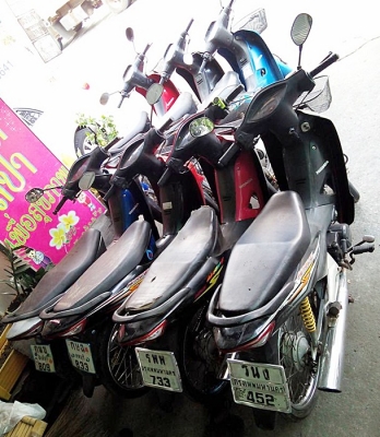 ขายได้ขาย Honda Wave เหมา 7คัน