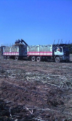 ขายรถพ่วงไม่ดั้ม HINO 2K เครื่อง360แรง เครื่องดี รถสวย สภาพพร้อมใช้งาน มี2พ่วง เอกสารพร้อมโอน สนใจโทร 090-8588220คุณนะ 093-3258446คุณบิว หรือเข้าดูสินค้าอื่นๆได้ที่ www.truck.in.th/498 หรือเพจFacebook ณรงค์ ซื้อขายรถมือสอง (เว็บไซต์ส่วนตัว) หรือFacebook ค