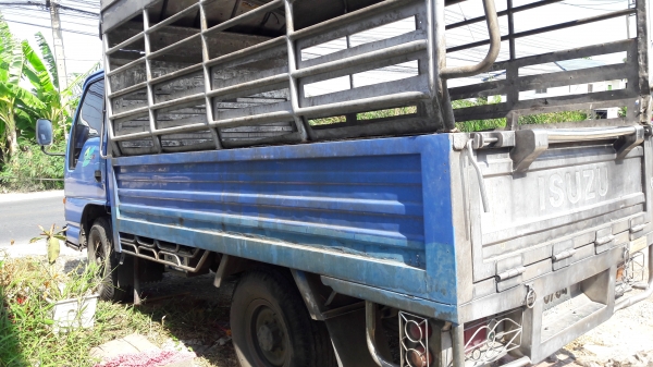ขายสี่ล้อห้าง ISUZU NKRหัวการ์ตูน เดิมดีเซล100แรง กะบะสแตนเลส รถสวยมือเดียว
