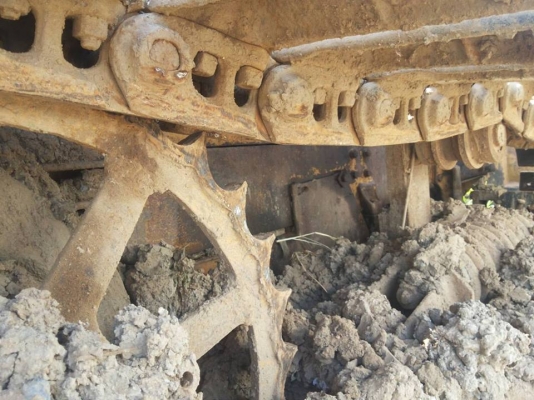 CAT D4 D ตีนเป็ด