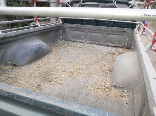 รถไมตี้ตอนเดียว สวยเดิม ๆ ปี 34