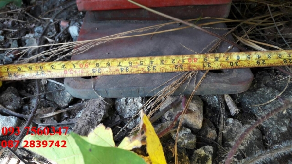 ขายแท้งค์บรรจุน้ำเพื่อการเกษตร