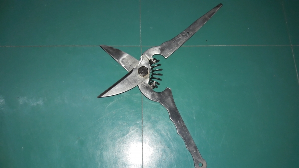 ขายกรรไกรขนาด9" HAGO GERMAN STAINLESS