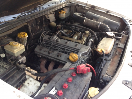 ขาย ทาทา ซีนอน ใจแอนท์ TATA XINON