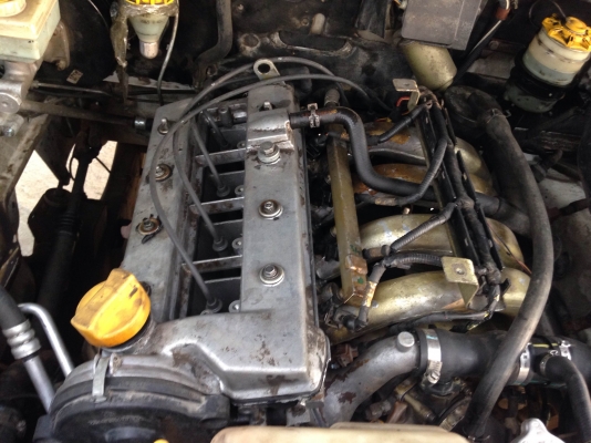 ขาย ทาทา ซีนอน ใจแอนท์ TATA XINON