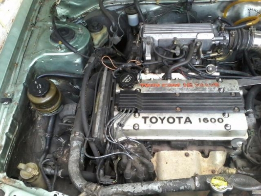 corona at171 4a 16 ge mt (ฝาลาย)