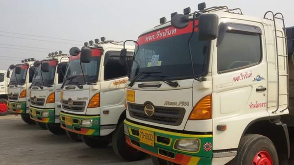 ขาย 320 ปี51