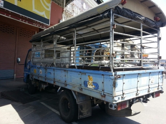 รถบรรทุก 6 ล้อ ISUZU รุ่น NKR66LX5 Y ขนาด 115 แรงม้า