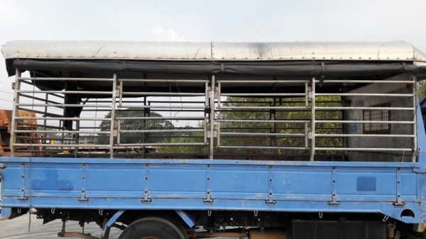 รถบรรทุก 6 ล้อ ISUZU รุ่น NKR66LX5 Y ขนาด 115 แรงม้า