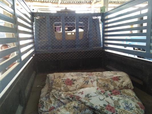 ขายครับ