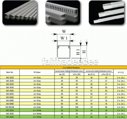 รางวายดักส์ WIRING DUCT