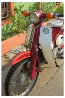 Honda C65 ถังแยก Honda C65 ถังแยก