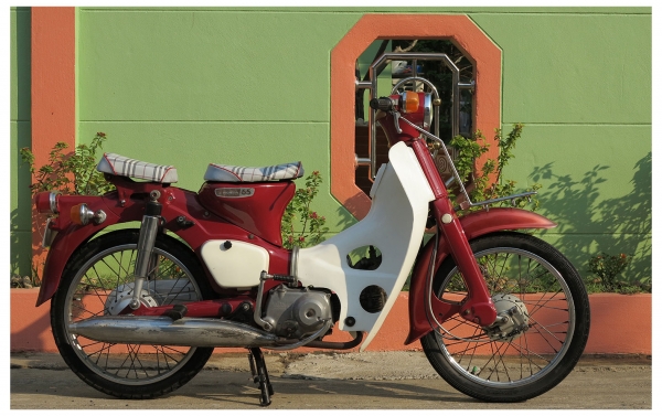 Honda C65 ถังแยก Honda C65 ถังแยก