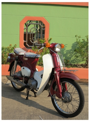 Honda C65 ถังแยก Honda C65 ถังแยก