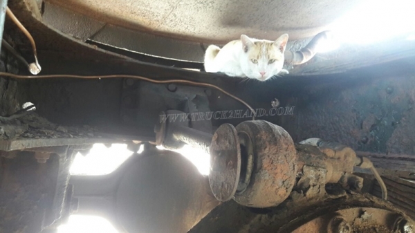 รถบรรทุกน้ำหัวยาว ขนาด 10 ล้อ ขนาด 160 แรงม้า จดทะเบียนปี 2546