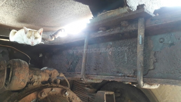 รถบรรทุกน้ำหัวยาว ขนาด 10 ล้อ ขนาด 160 แรงม้า จดทะเบียนปี 2546