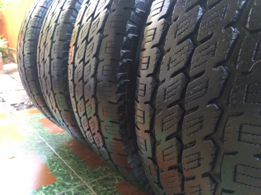 ยาง nitto 31 ดอกสวยๆ ยาง nitto 31 ดอกสวยๆ