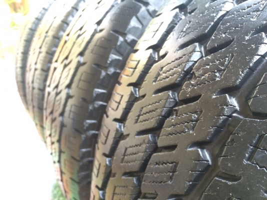 ยาง nitto 31 ดอกสวยๆ ยาง nitto 31 ดอกสวยๆ