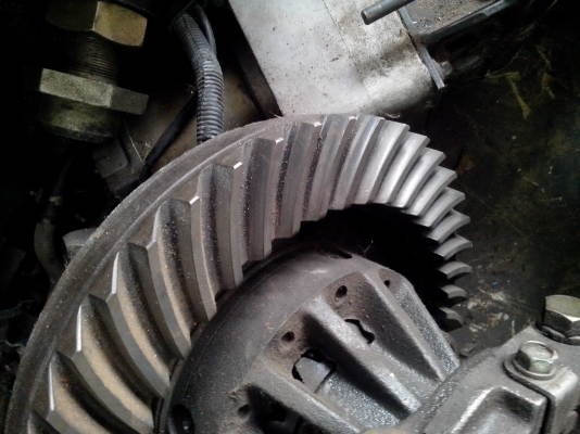 เฟืองท้าย อีซูซุแอลฟ์ 6 ล้อ ซีลเล็ก